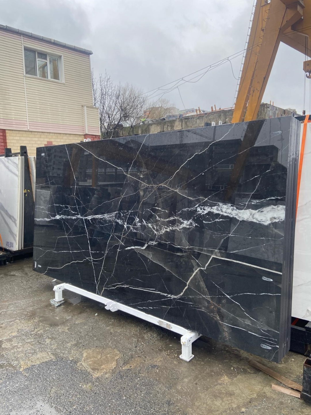 Anatolia Porselen Calacatta Noir